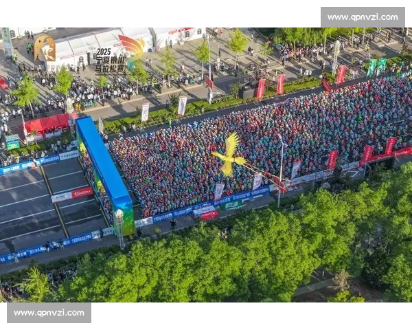 聚焦体育平台创新发展与多元服务生态构建新格局引领时代全民健身潮流