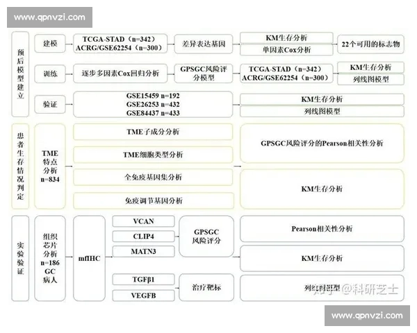 足球赛前信息系统化整理方法与实战决策应用研究模型构建与评估 足球赛前信息系统化整理方法与实战决策应用研究模型构建与评估