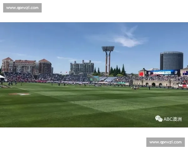 高清足球赛事直播APP下载指南畅享全球赛场精彩即时比分数据分析权威解说 - 副本 - 副本 (6) - 副本 - 副本 - 副本 - 副本